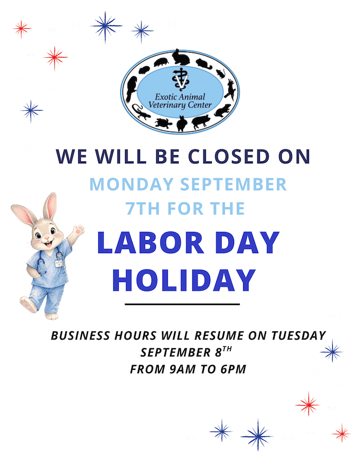 Labor Day 2026 (1)