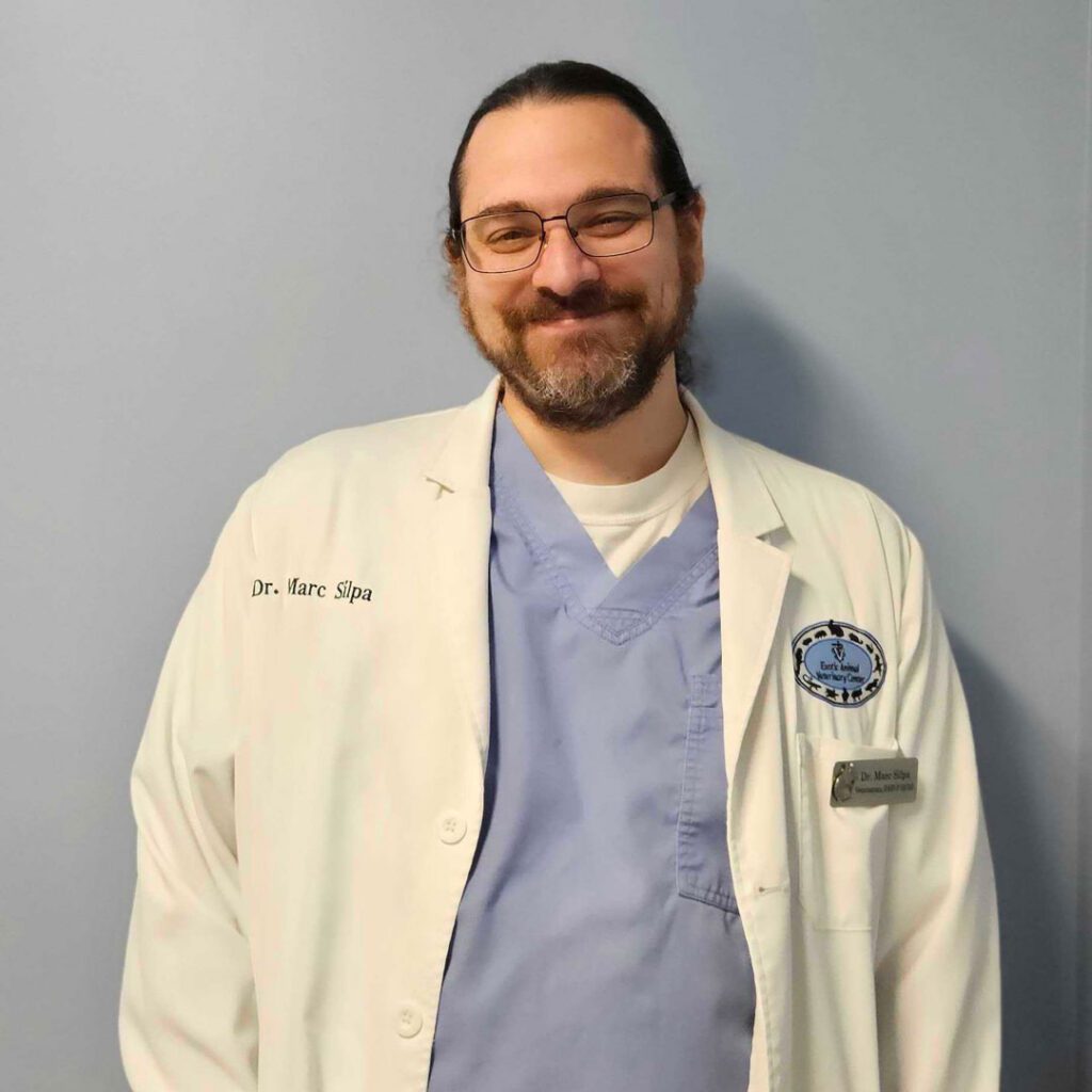 smiling male veterinarian with dark brown hair and glasses