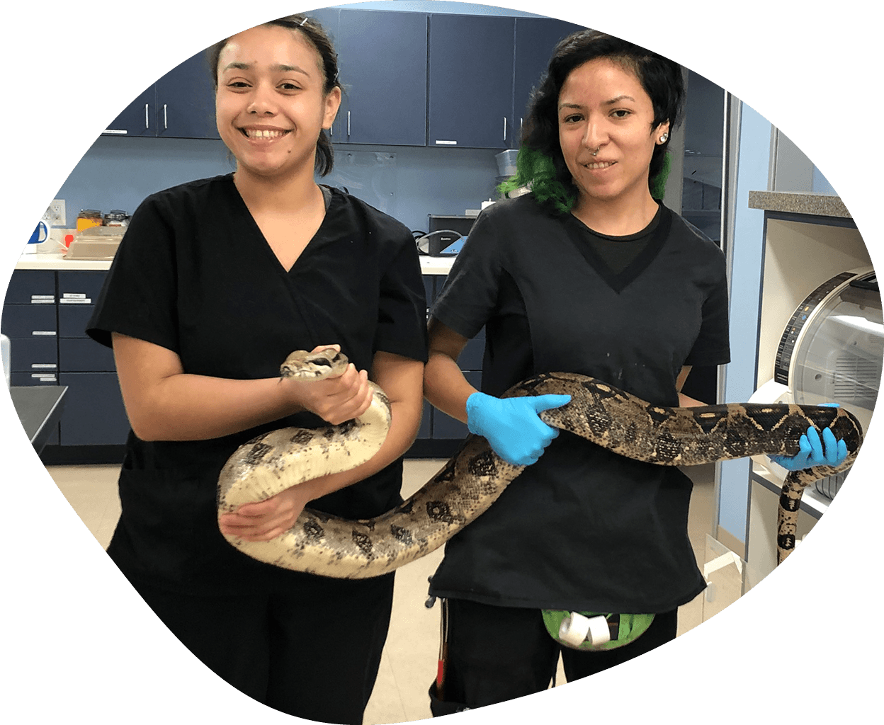 two staff members holding large snake